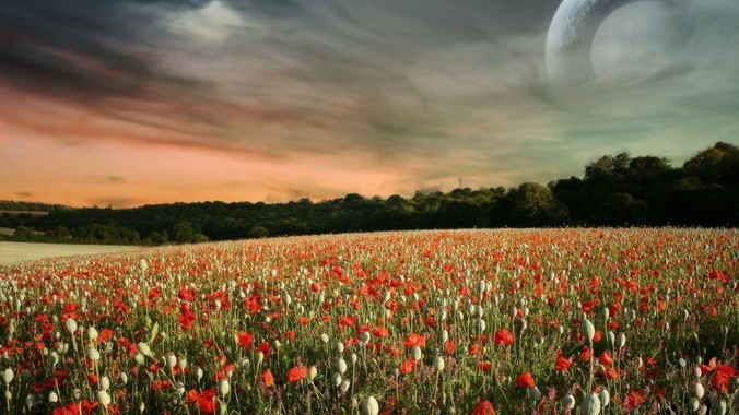 为什么云南美食很难出圈？